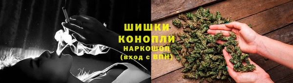 амф Козельск