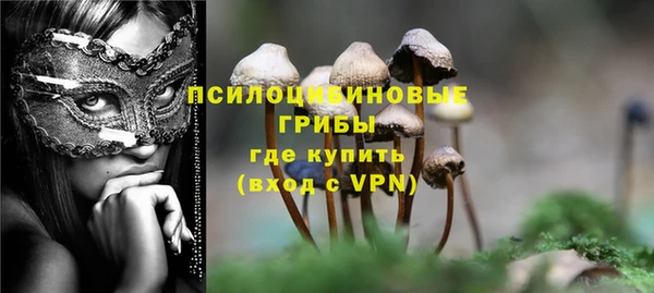 стафф Кодинск
