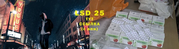 стафф Кодинск