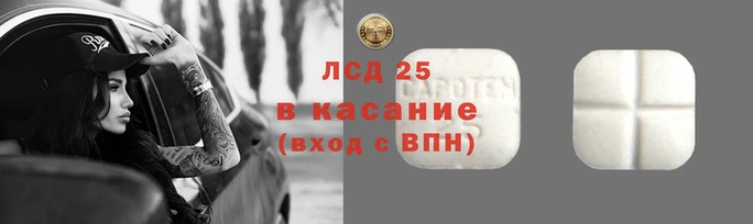 стафф Кодинск
