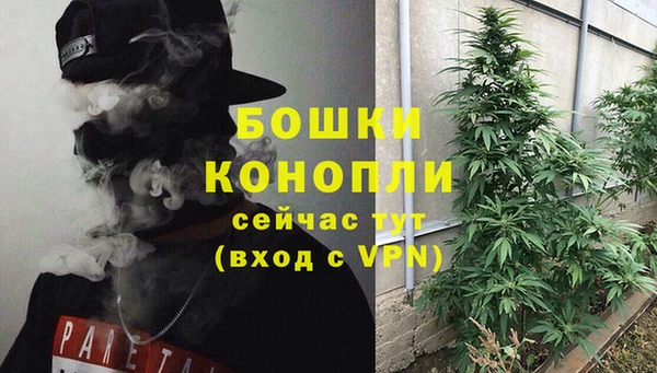 стафф Кодинск